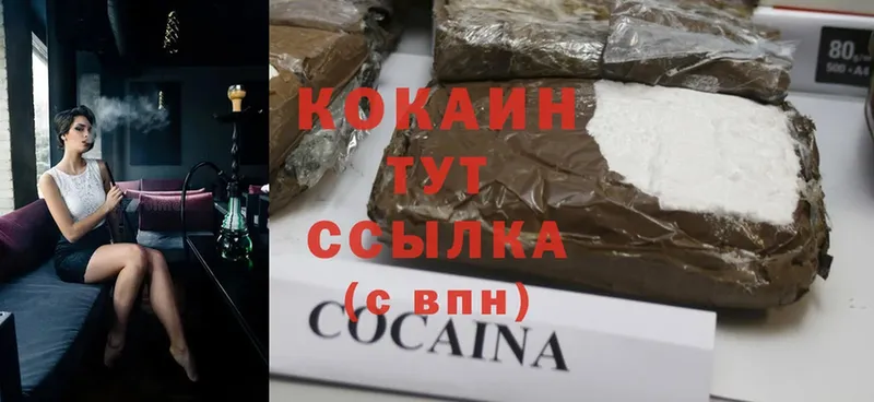 где можно купить наркотик  Гусь-Хрустальный  COCAIN Fish Scale 